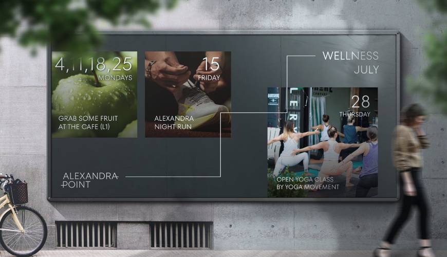 黎平县画册设计公司如何进行品牌审核